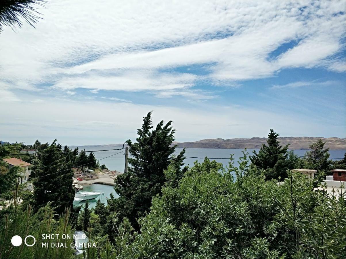 Danica Holiday House Cesarica Exterior foto