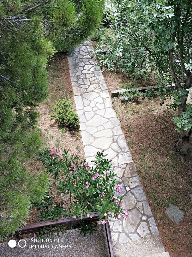 Danica Holiday House Cesarica Exterior foto